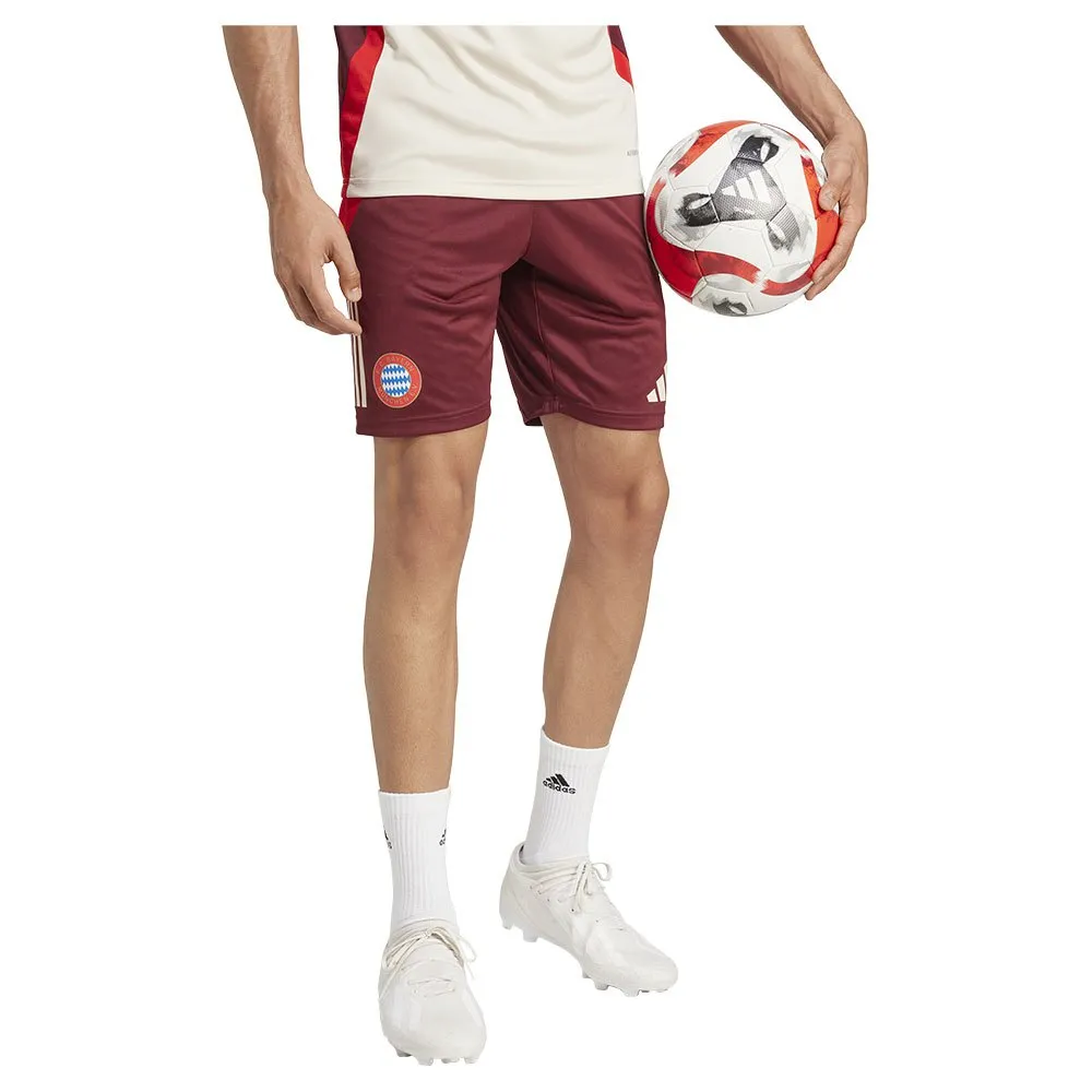 adidas FC Bayern Munich 24/25 Tiro Training kurze hose