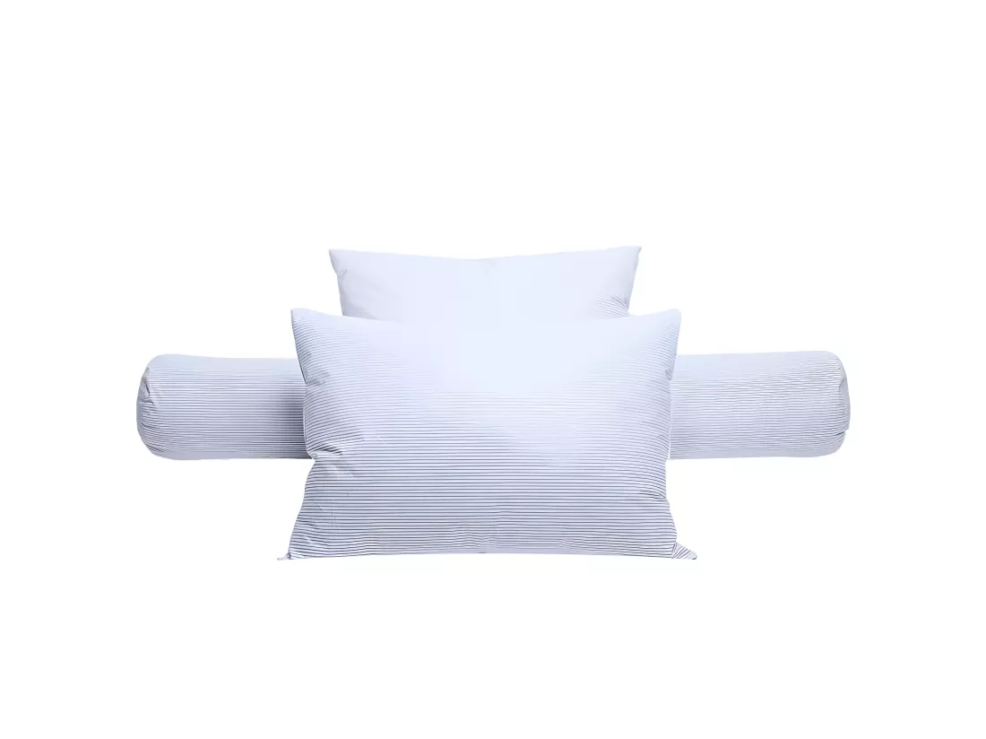 Lot De 2 Oreillers Plumes 65 X 65 Cm 
