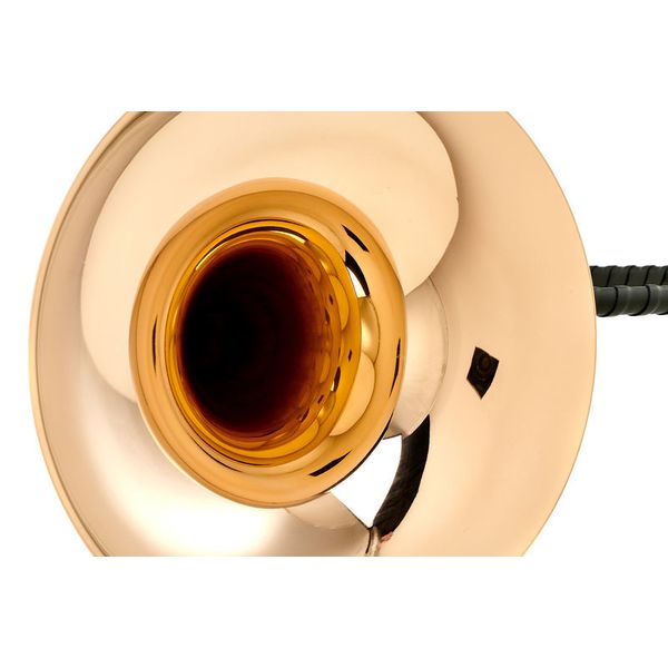 Dotzauer Parforce Horn in Bb 18216