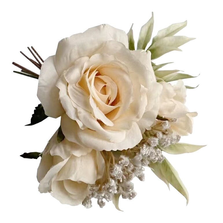 creme, L 25 cm