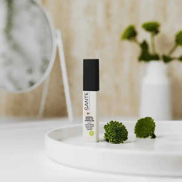Mineral Wake up Concealer 01 Neutral Ivory