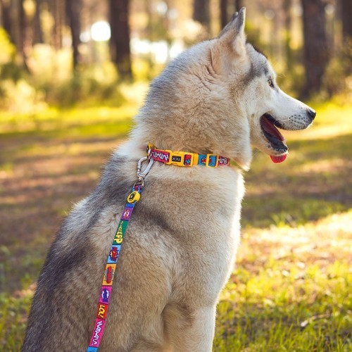 Coleira amarela para cães em formato de história em quadrinhos