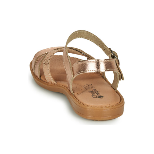 Citrouille et Compagnie - IZOEGL Bronce
