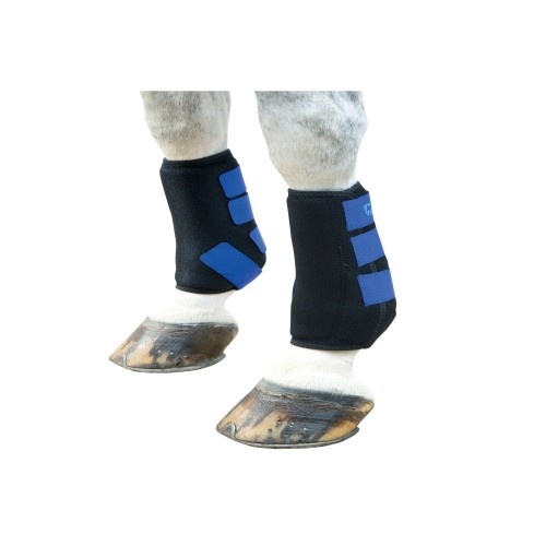 Botas esportivas de neoprene azul royal ARMA para equitação