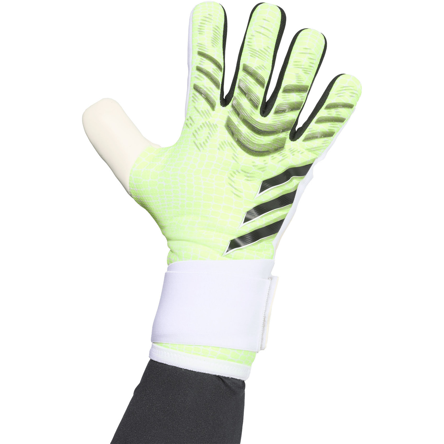 adidas Predator Competition Keepershandschoenen