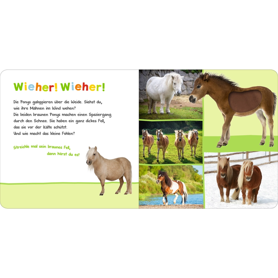arsEdition Hör mal rein, wer kann das sein? Streicheltiere