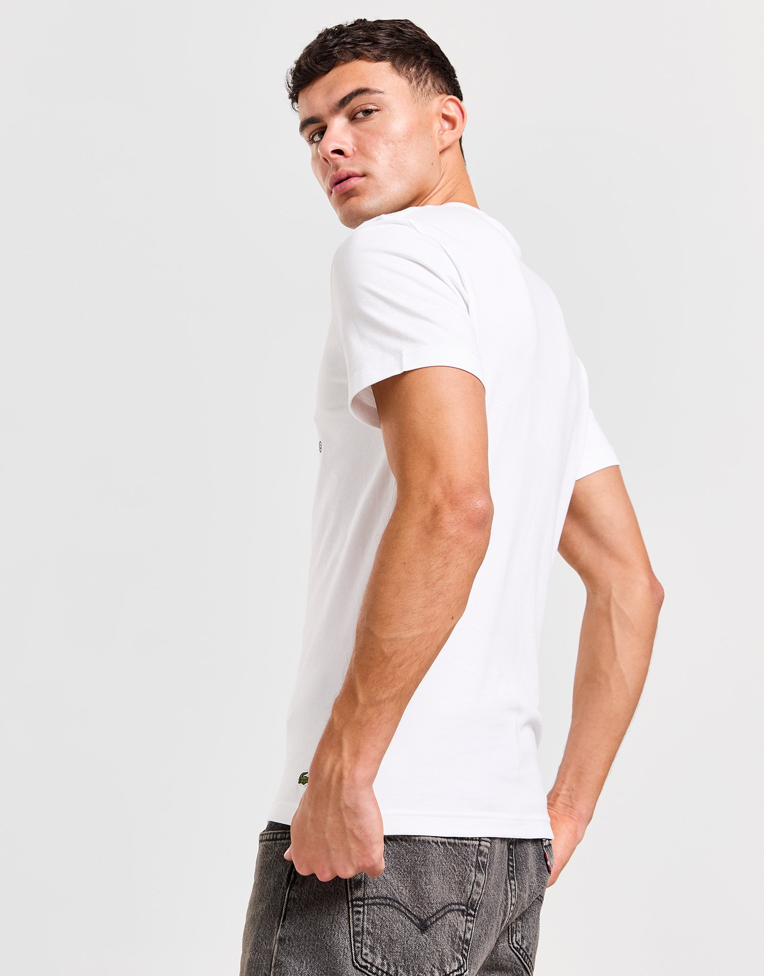 Lacoste T-shirt Homme