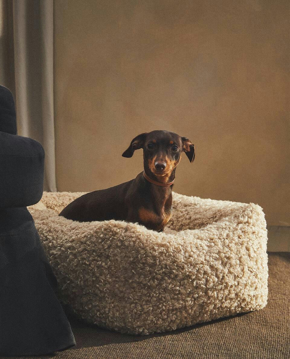 CAMA PARA ANIMAIS DE ESTIMAÇÃO EM SINTÉTICA LÃ DE CARNEIRO