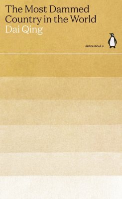 The Most Dammed Country in the World - Green Ideas (Paperback)