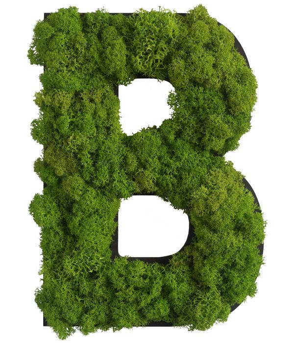 styleGREEN Buchstaben aus Islandmoos, ca. H25