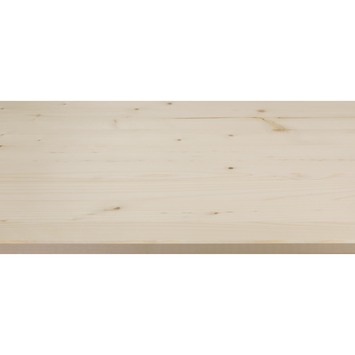 CanDo massief timmerpaneel vuren 250x40 cm 18 mm