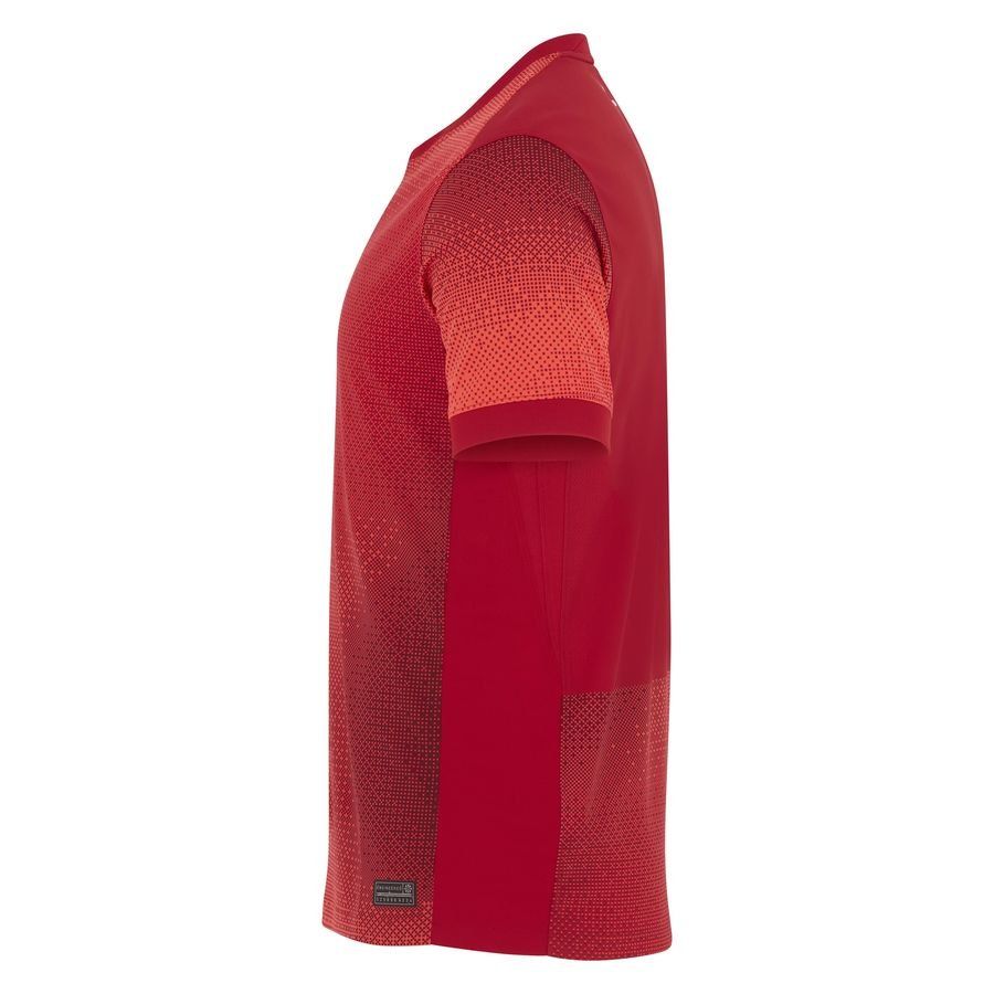 Pologne Maillot Extérieur 2024/25