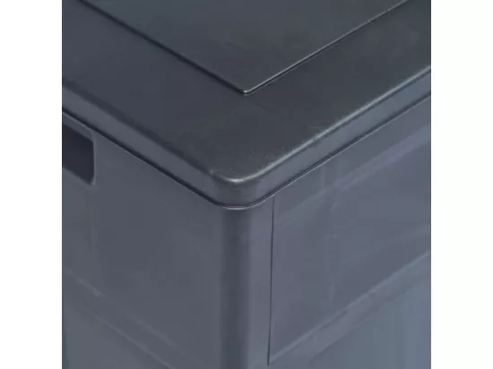 Boîte de rangement de jardin 320 L Noir