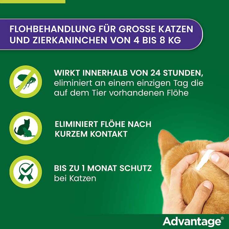 Advantage 80 für große Katzen und Zierkaninchen ab 4 kg, 4X0.8 ml
