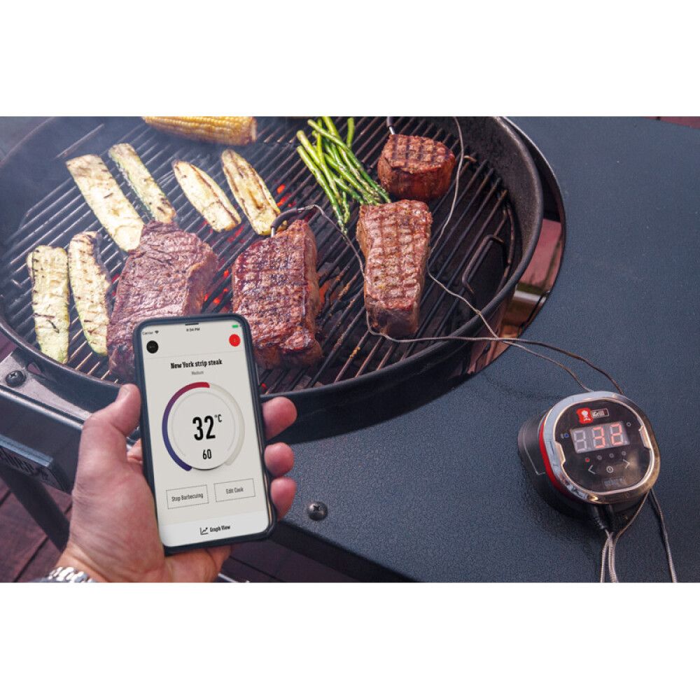 STEKETERMOMETER WEBER IGRILL 2