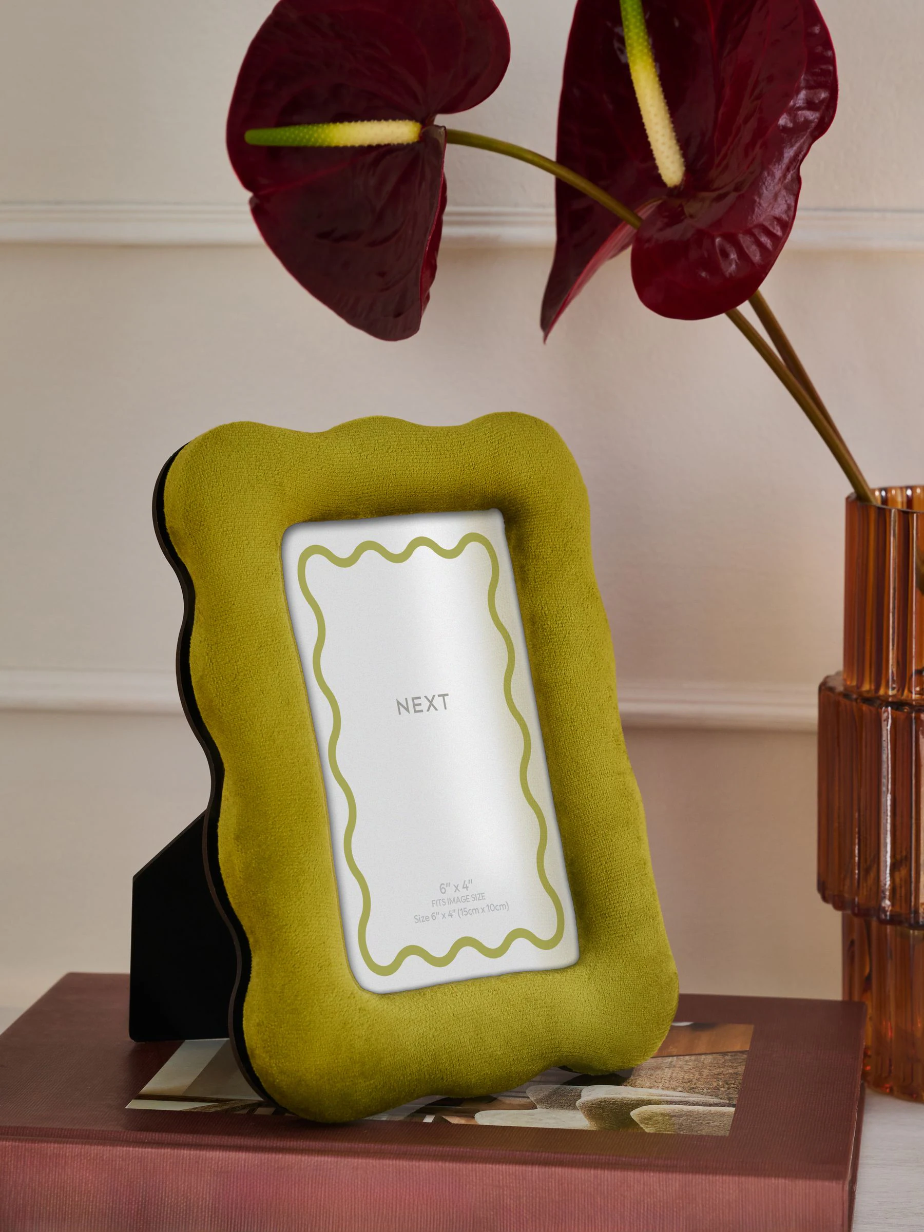Velvet Wiggle Photo Frame