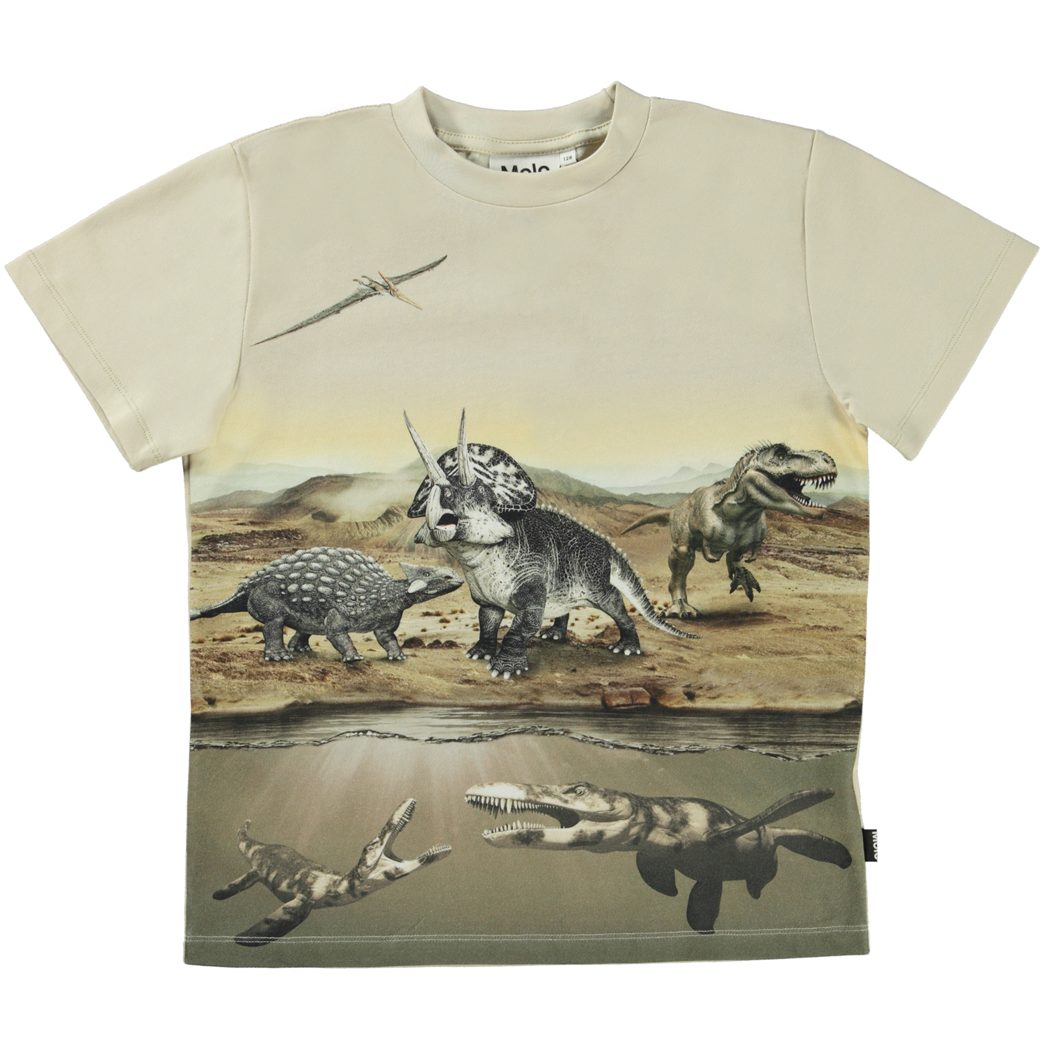 Roxo - Desert Dinos