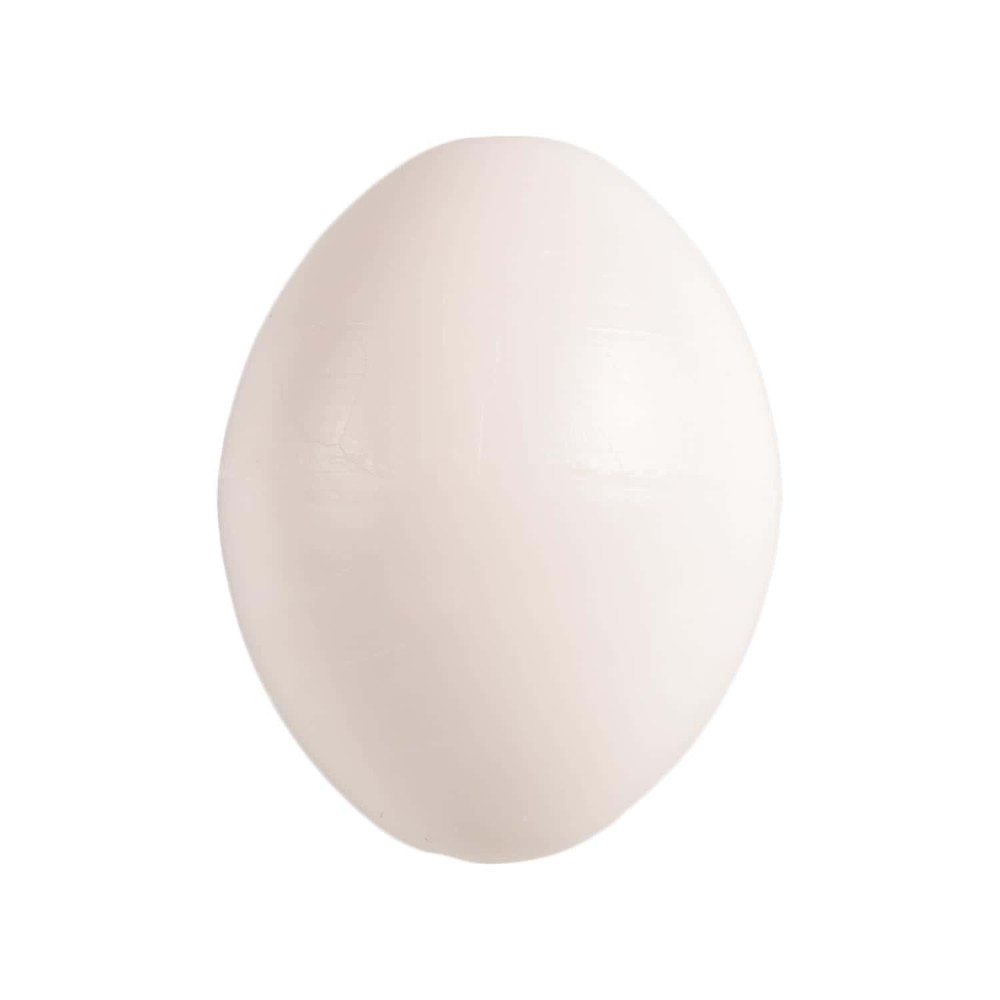 5 œufs artificiel en plastique pour oiseaux calopsitte , inséparables, agap