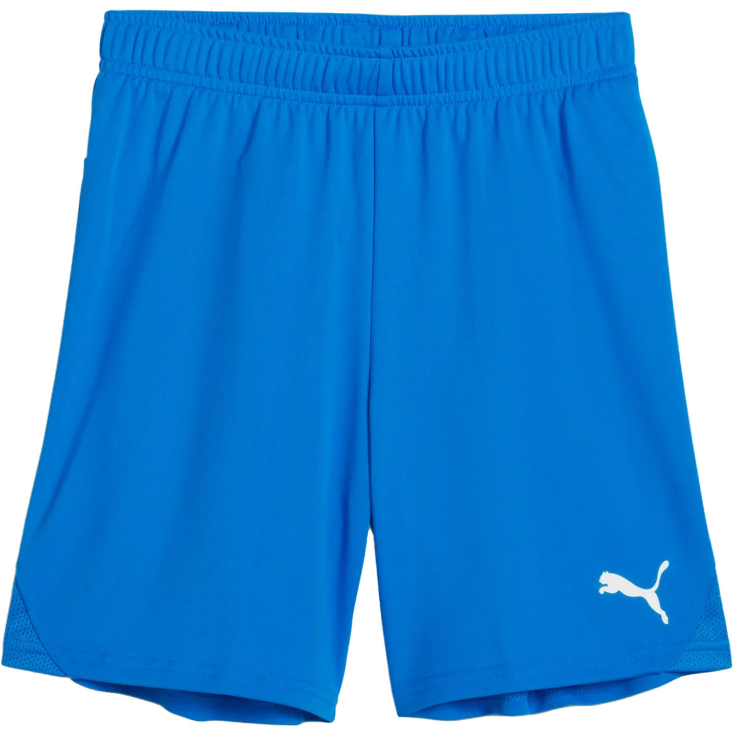 Puma GOAL Training Short Kids