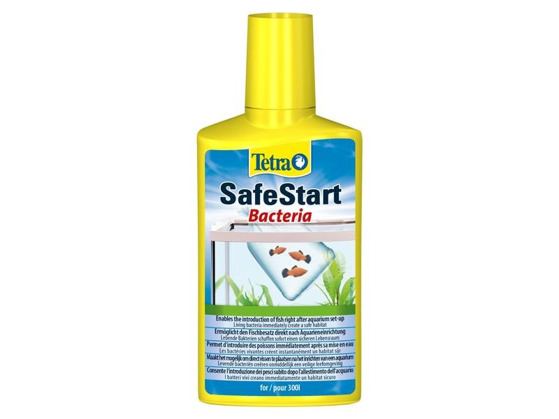 Tetra Wasserpflege SafeStart Bacteria, 100 ml Ermöglicht den Fischbesatz direkt nach Aquarieneinrichtung
