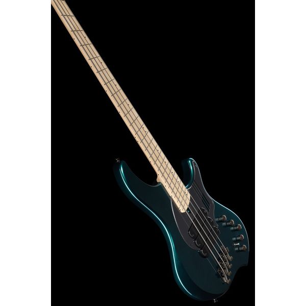Dingwall NG3 Nolly Sig.4 Black Forrest