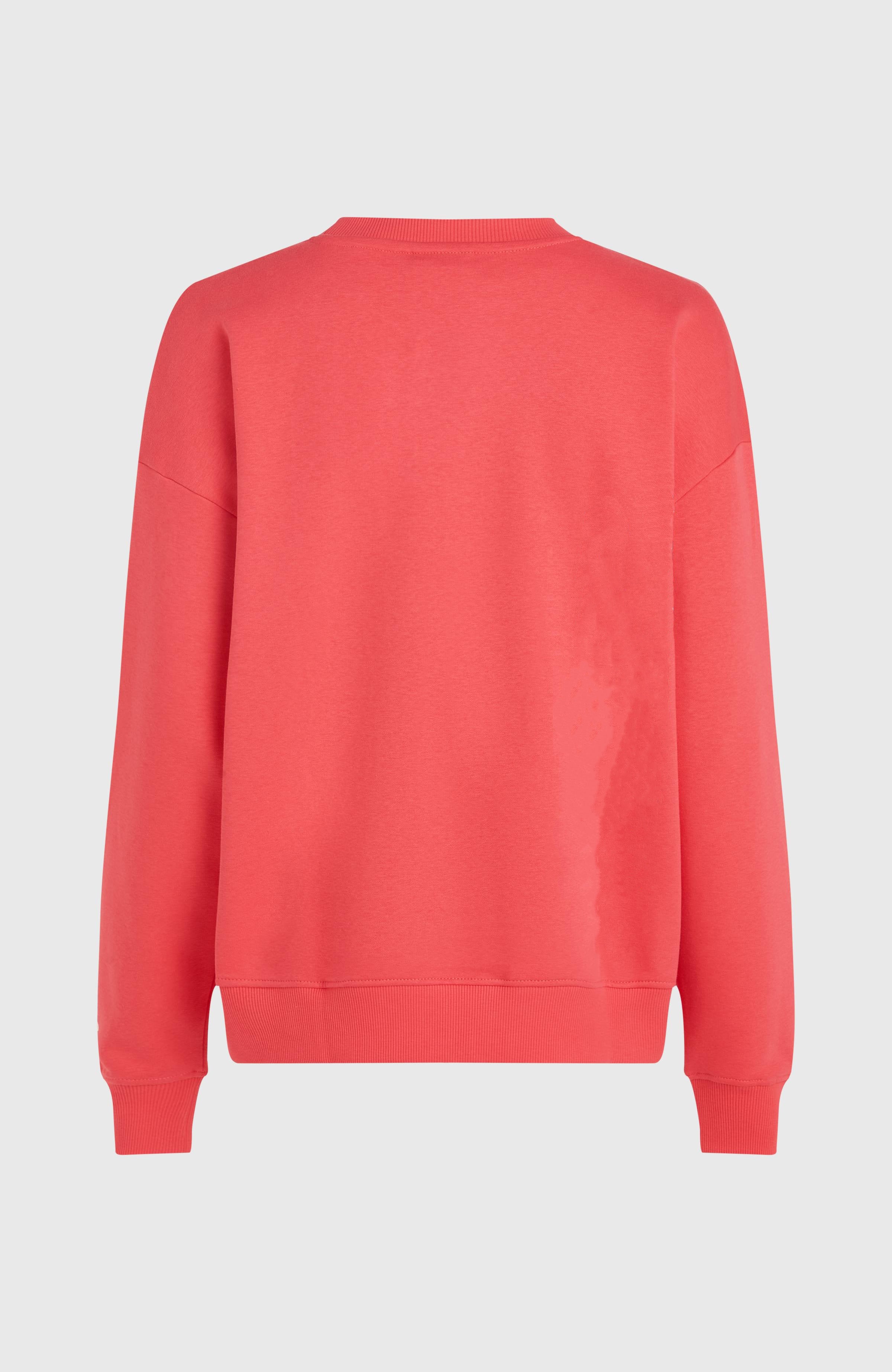 Future Surf Crew sweater