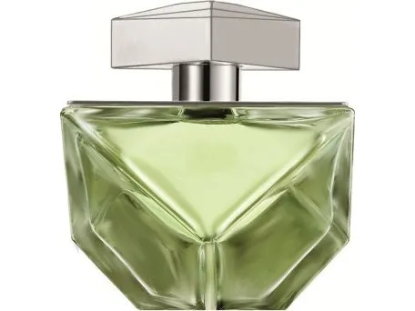 Britney Spears Believe Eau De Parfum 100 ml (woman)