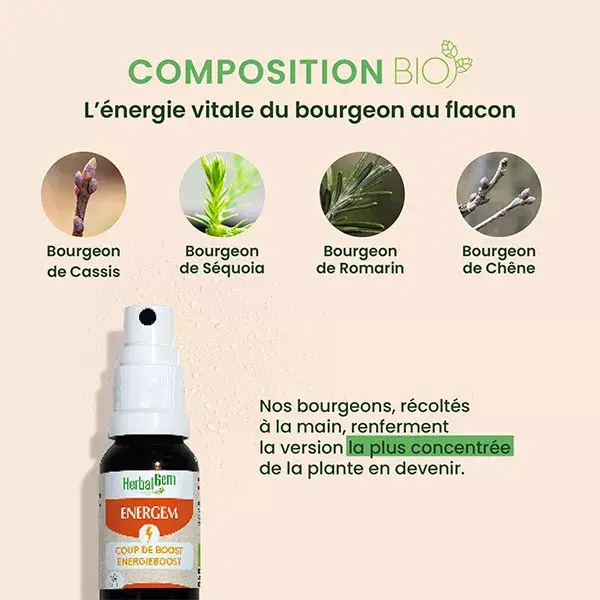 Herbalgem Energem Coup De Boost Spray Orgânico 15 ml