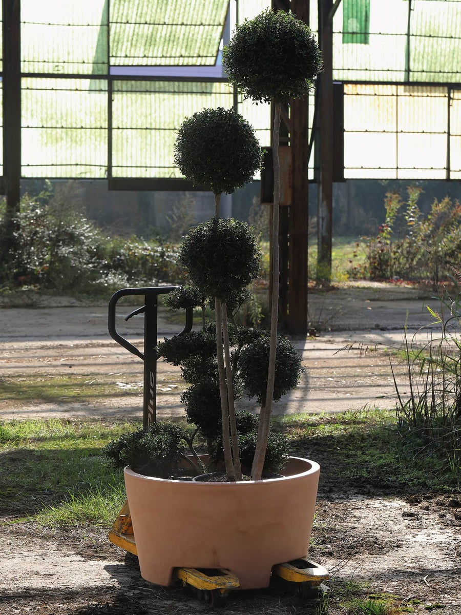 COLO 80 XL plantenbak, 80cm diameter, 170l inhoud, wit, plantenbak, plantenbak