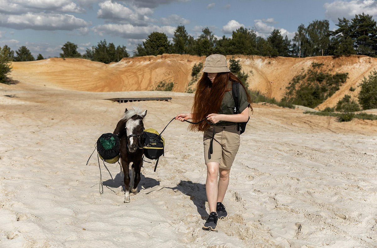 Pony Spaziergang Barth