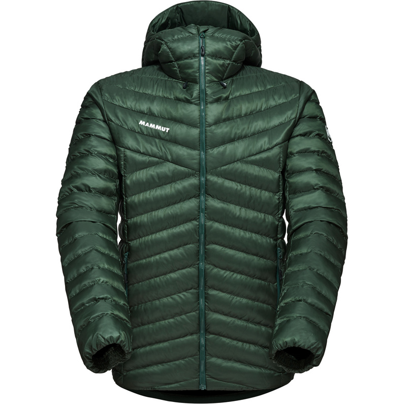 Mammut Herren Albula In Hoodie Jacke
