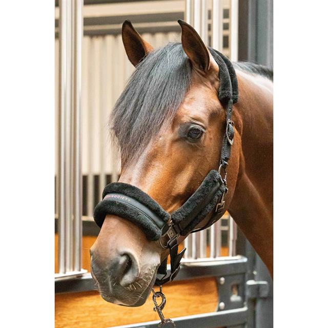 Halsterset Harry's Horse Billie Zwart-rood
