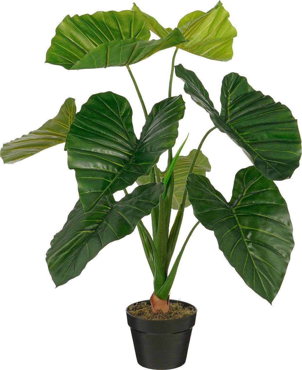 Mica Decorations kunstplant Olifantsoor D 60 H 90 cm