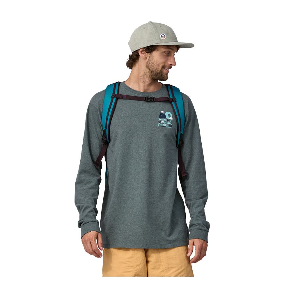 Patagonia BLACK HOLE 25L - Sac À dos belay blue