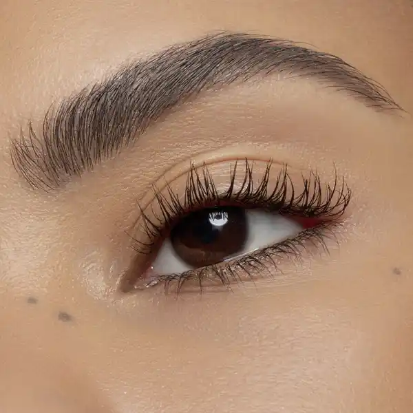 easy & WOW brow set medium