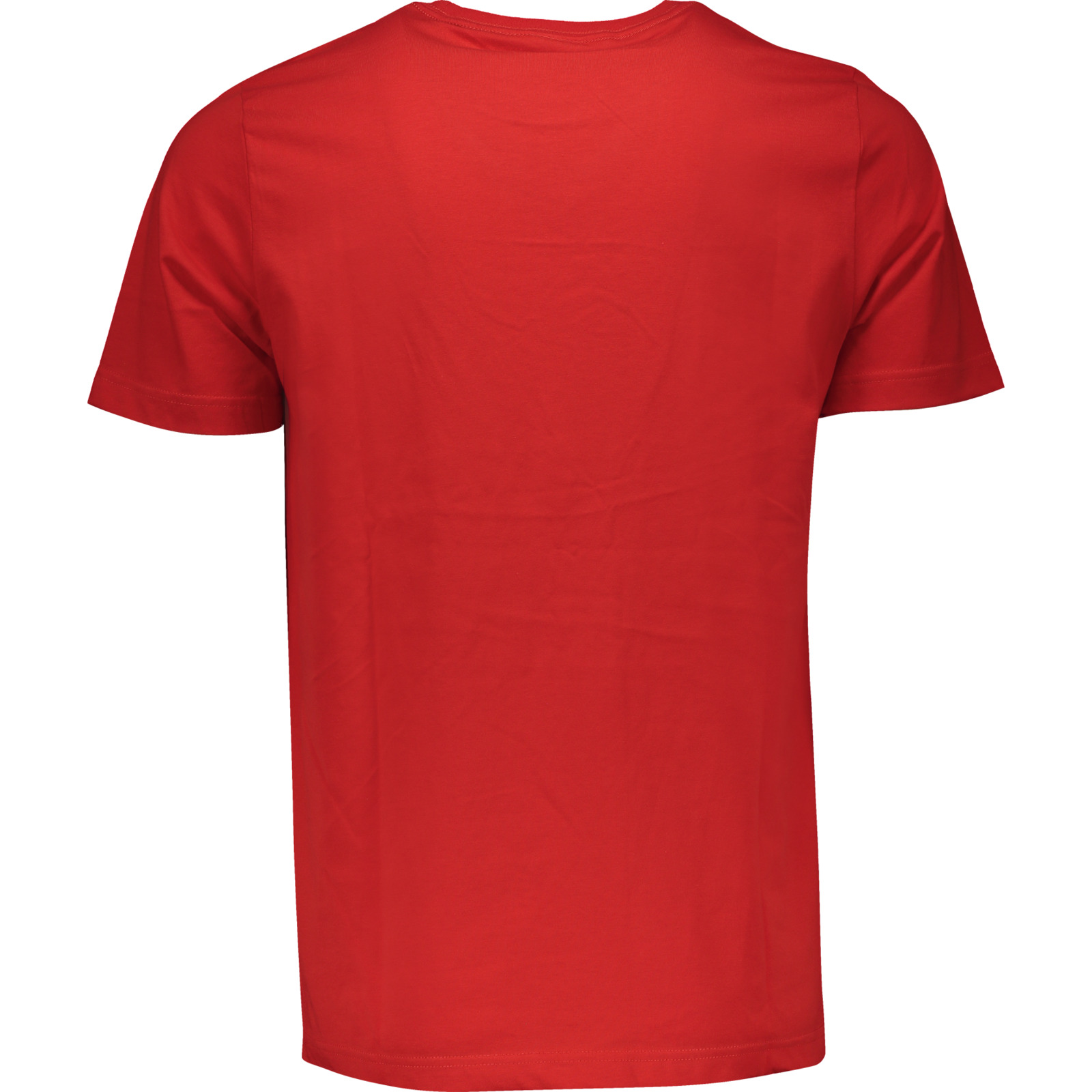 Puma Herren-T-Shirt team Goal 23 L, rot