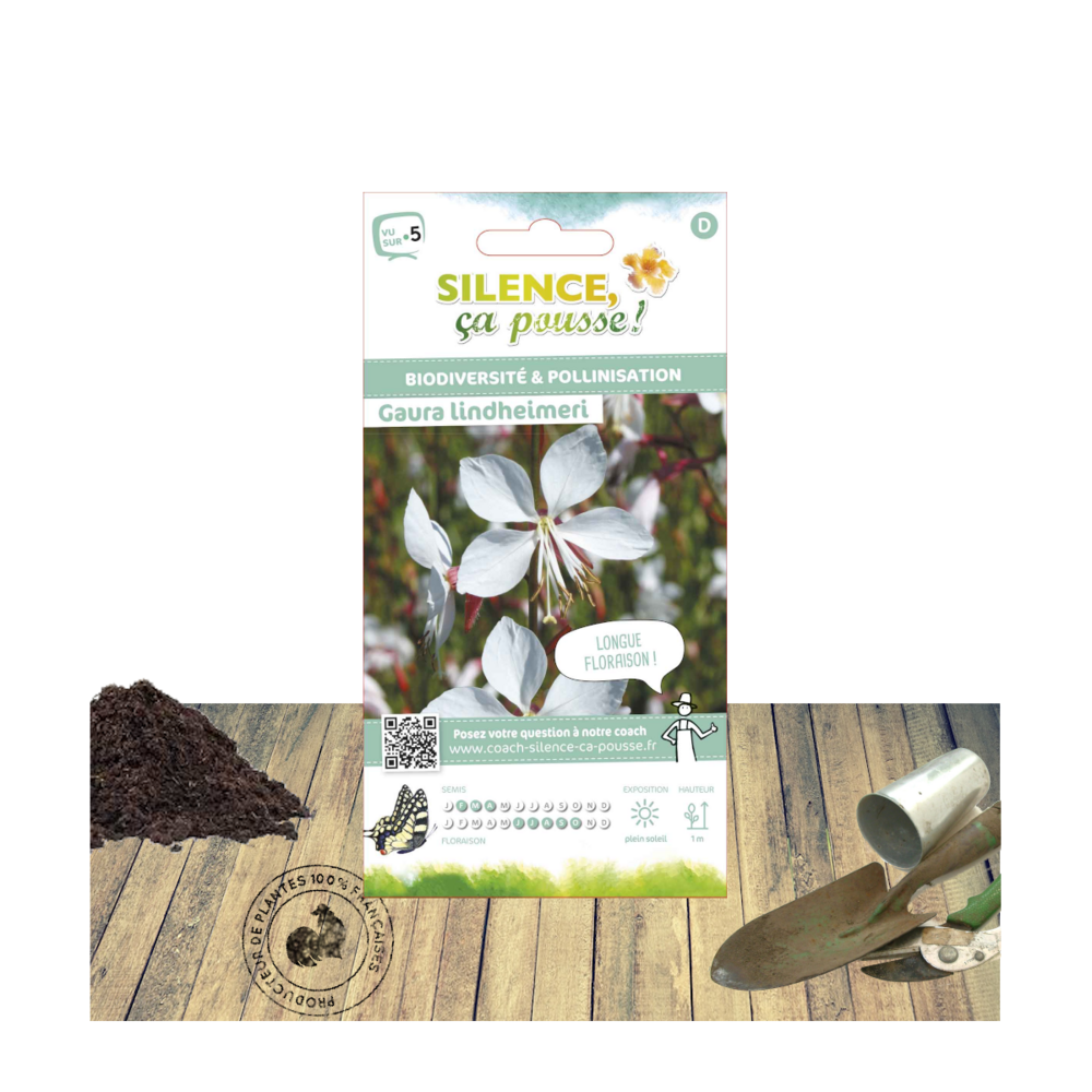 Graines gaura lindheimeri/gaura lindheimeri[-]sachet de 0,70 gr.