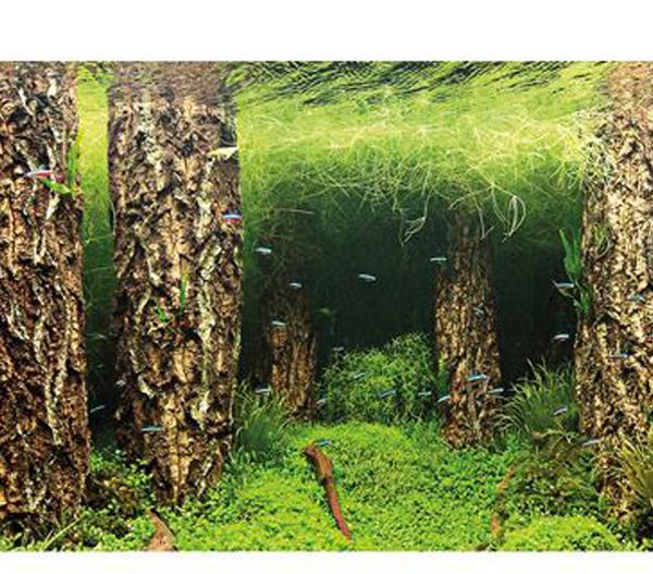 Hobby® Aquarium Rückwand Scaper's