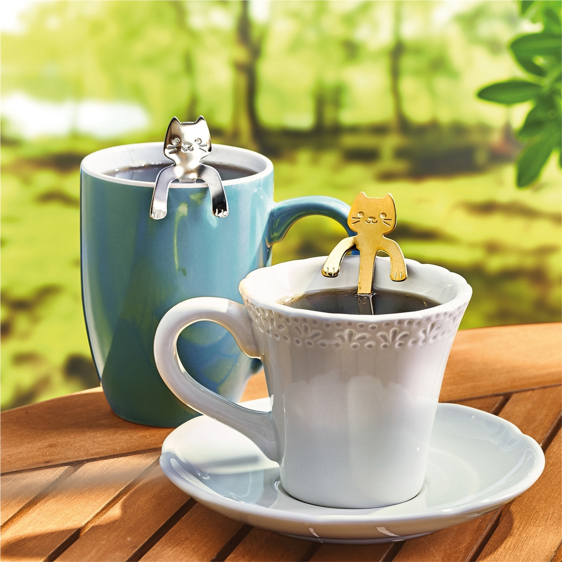 4 cuillères à café chat
