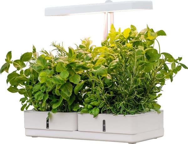 AIRAM Daisy plantelampe, 20W/835, 1450 lm