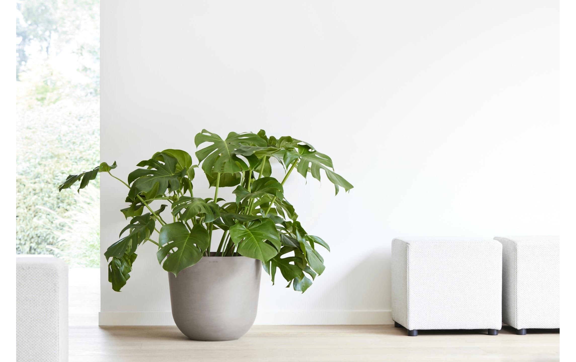 ECOPOTS Pflanzkübel »Oslo 45«