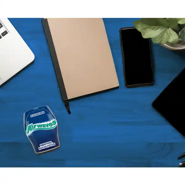 Menthol & Eukalyptus, zuckerfreier Kaugummi