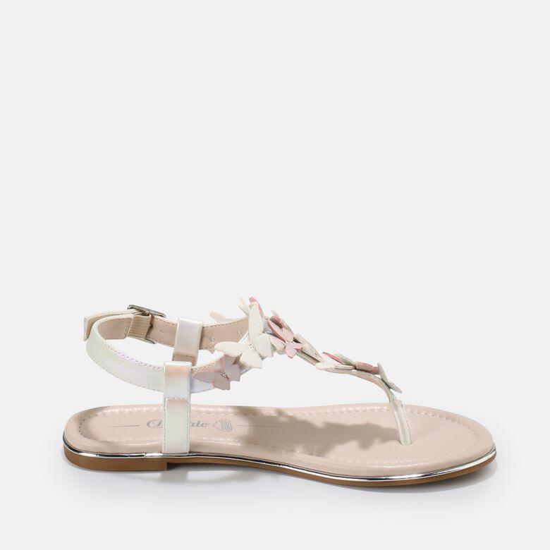 Capri Butterfly