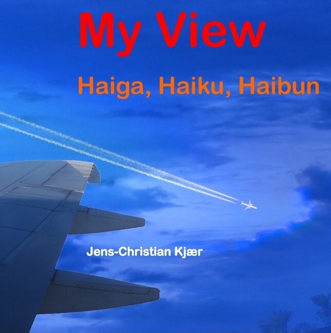My View - Jens-Christian Kjær - English Book