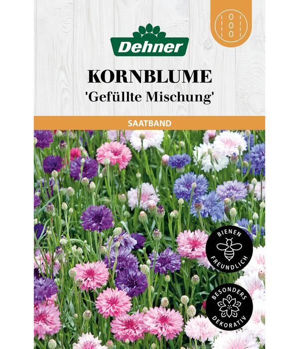 Dehner Saatband Kornblume 'Gefüllte