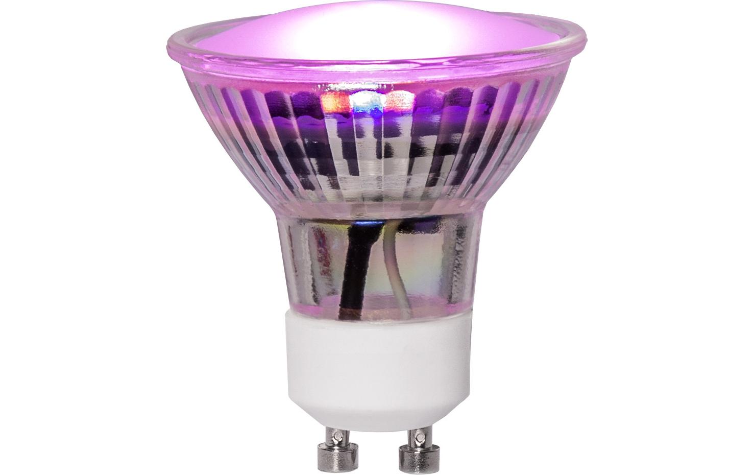 Leuchtmittel LED Pflanzen GU10, 3.5 W, 42 lmPflanzenleuchtmittel