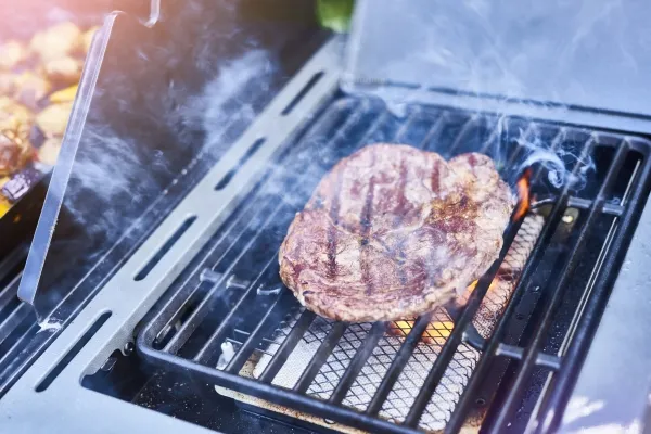 DANGRILL - GASGRILL 420 CS 4 BRÆNDERE M/ POWER BURNER