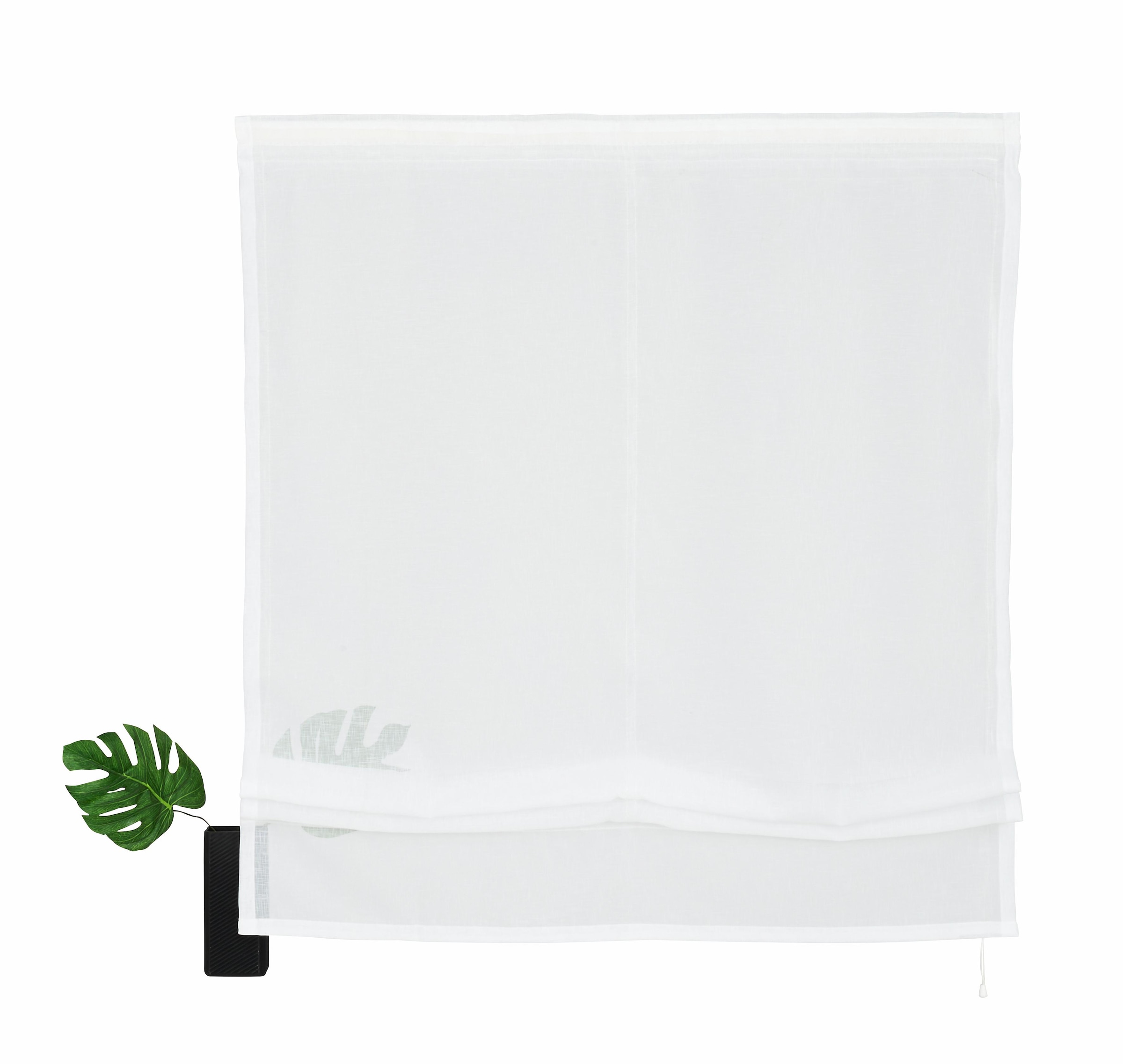my home Raffrollo »Regina« mit Klettband Transparent, Voile, Polyester