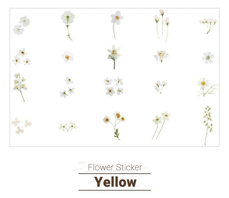 JIMO - Bloemensticker (verschillende ontwerpen)