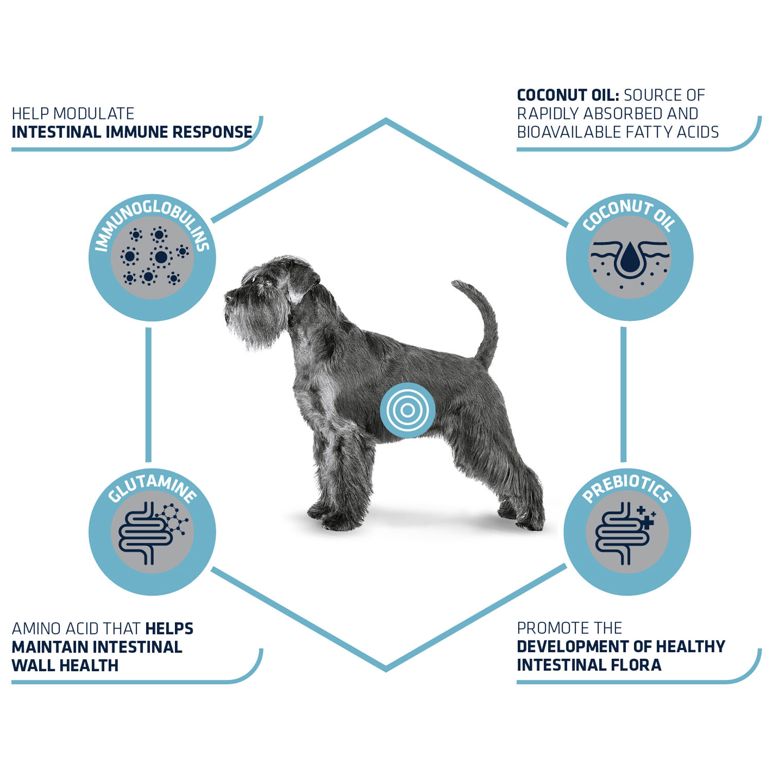 Affinity Advance Veterinary Diets Gastroenteric Hond